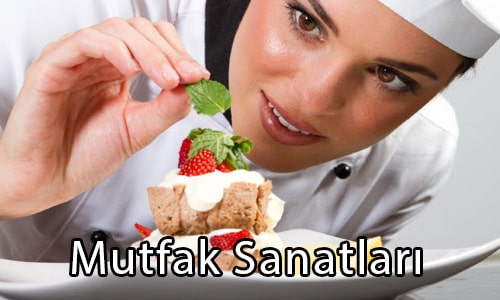 Yurtdışı Gastronomi ve Mutfak Sanatları