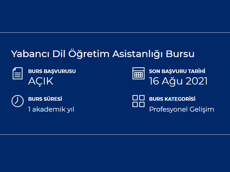 Amerika'da, Türkçe Öğretim Asistanlığı